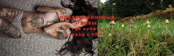 ешки Покачи