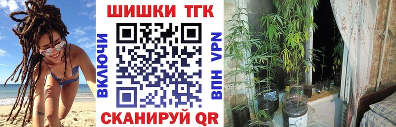 Купить  Западная Двина  Марихуана VHQ 